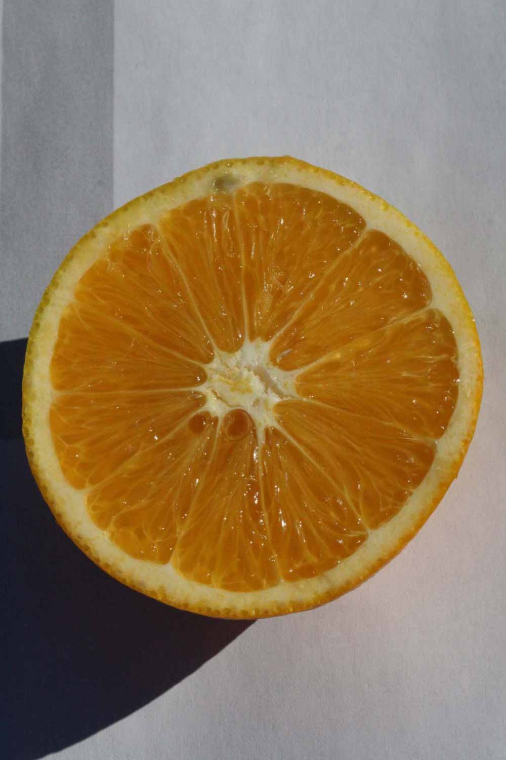              Fruit cross-section (Riverside, CA)       